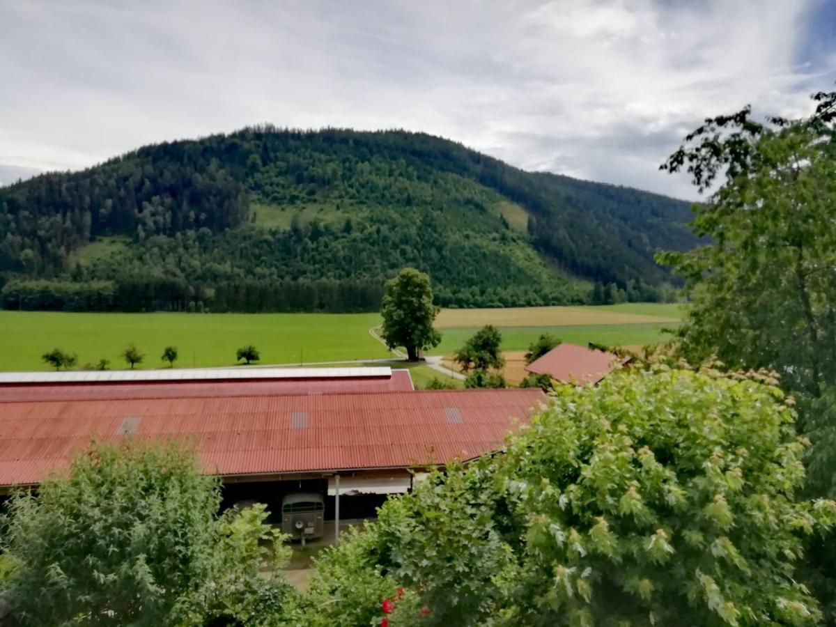 Ferienwohnung Erni Feldkirchen in Kärnten Zewnętrze zdjęcie
